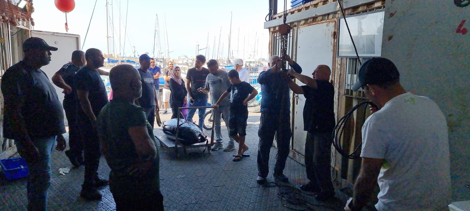 WhatsApp Image 2022-05-25 at 4.39.04 PM (1).jpeg